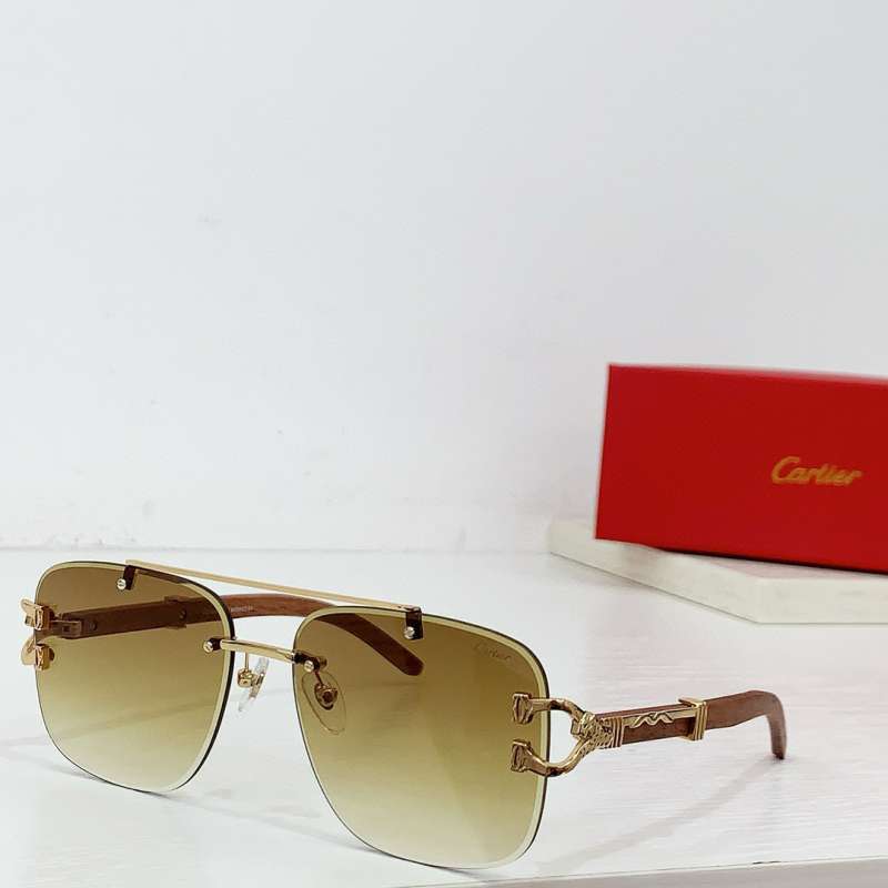 Picture of Cartier Sunglasses _SKUfw55616895fw
